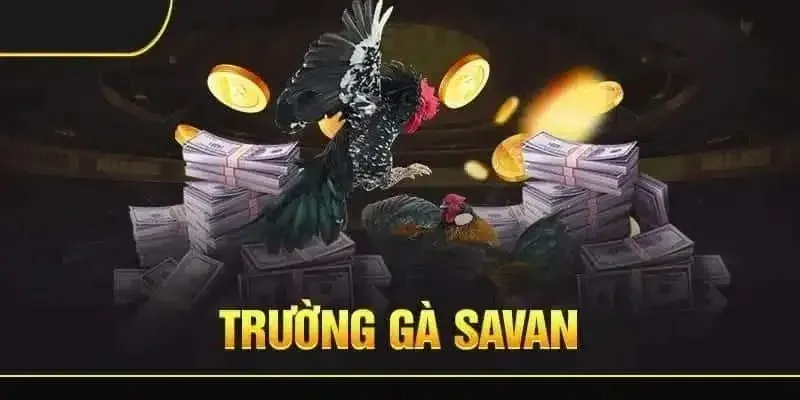 Cac-buoc-huong-dan-dang-ky-truong-ga-savan-tai-nha-cai-Alo789