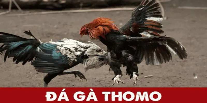 da-ga-thomo