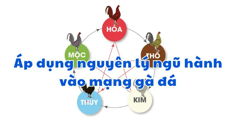 huong-dan-choi-ga-da-theo-mau-mang-ga-da