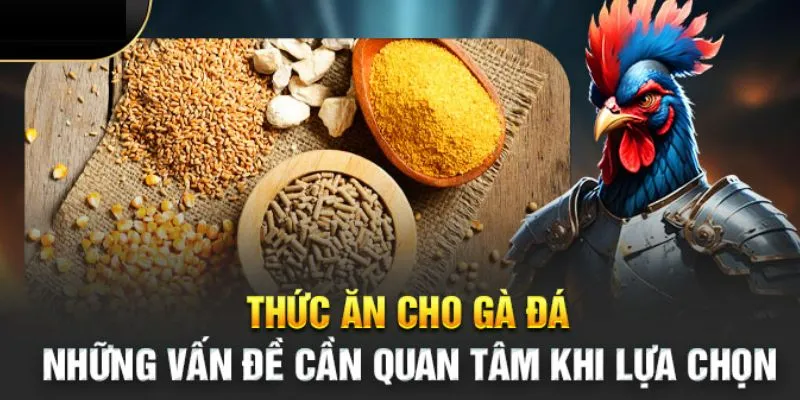 thuc-an-cho-ga-da-rat-quan-trong-doi-voi-ga-da