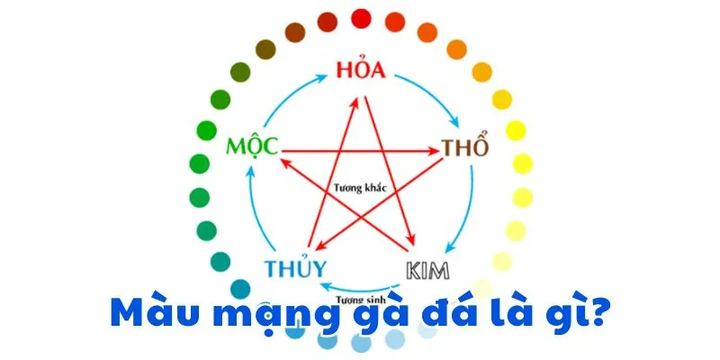 y-nghia-cua-tung-mau-mang-ga-da